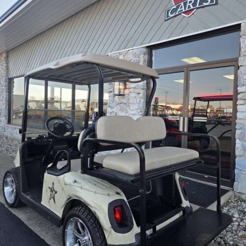 2014 E-Z-GO Freedom RXV